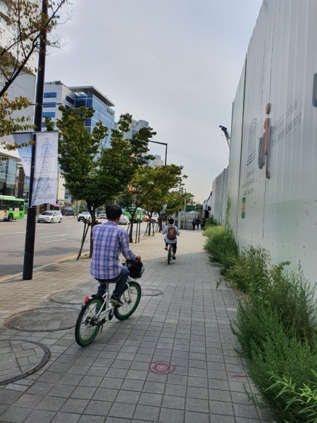 사례집단